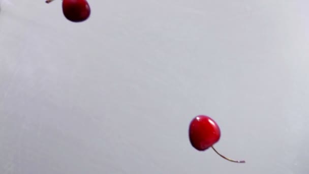 Cerejas maduras voam sobre um fundo branco — Vídeo de Stock