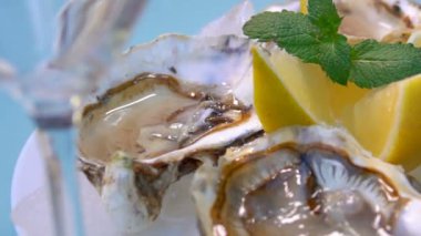 Buz ve limon ile beyaz bir plaka üzerinde açık istiridye.