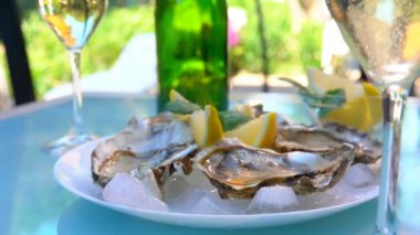 Taze lezzetli istiridye buz ile bir plaka yalan