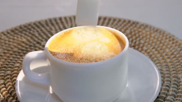 Piece of sugar falls into a cup of espresso coffee — Stock Video