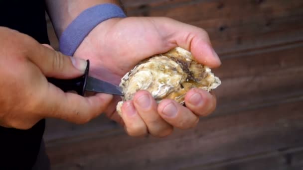 Männerhände öffnen eine frische saftige Auster — Stockvideo