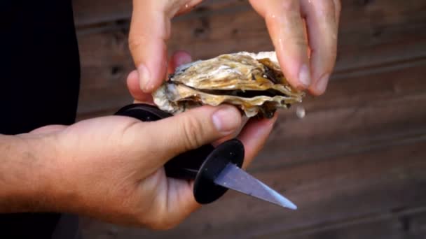 Main masculine enlève la coquille avec une huître fraîche — Video
