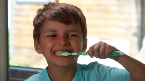 Веселый маленький мальчик чистит зубы . — стоковое видео