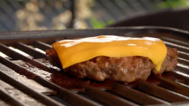 Кусок сыра расплавился на горячем говяжьем бургере. — стоковое видео