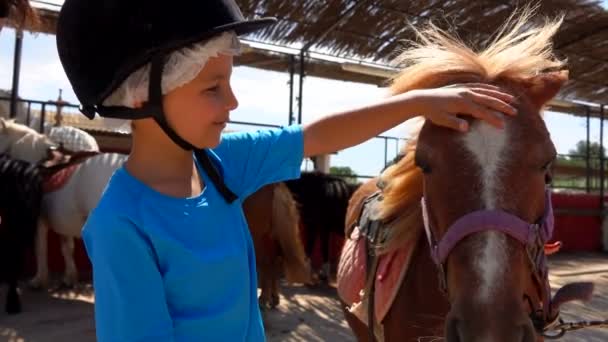 Niño en un casco protector acaricia una melena ponys — Vídeos de Stock