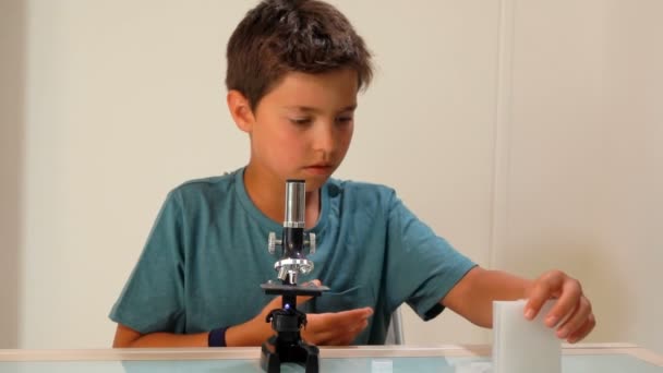 Niño elige una diapositiva de vidrio para examinar — Vídeo de stock