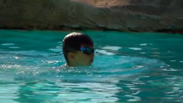 小さな男の子はプールで平泳ぎを泳ぐ — ストック動画