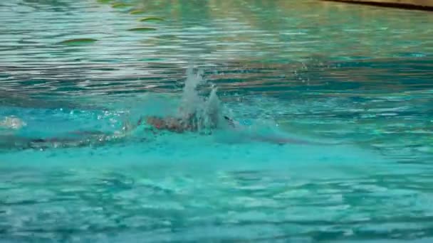 Menina estilo natação rastejar na piscina — Vídeo de Stock