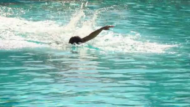 Menino natação estilo livre na piscina — Vídeo de Stock