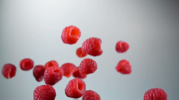 成熟多汁的树莓反弹起来，下降 — 图库视频影像