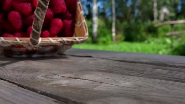Спелые малины рушатся на деревянном столе — стоковое видео