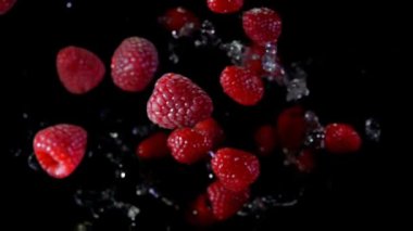 Su ile Olgun ahududu kameraya sinek