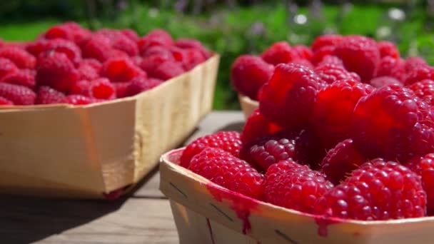 Zeer close-up van frambozen in de rieten manden — Stockvideo