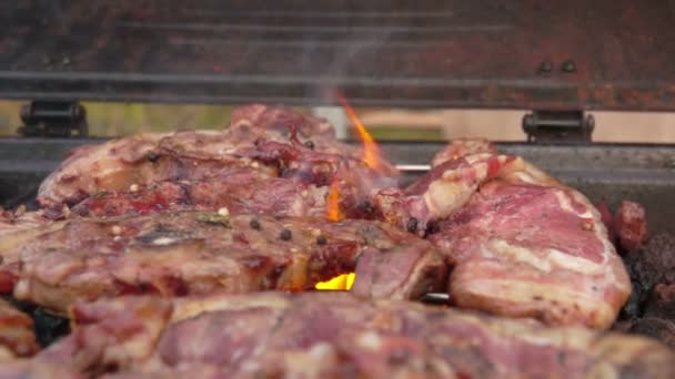 Pedaço de bife de cordeiro polvilhado com tempero — Vídeo de Stock