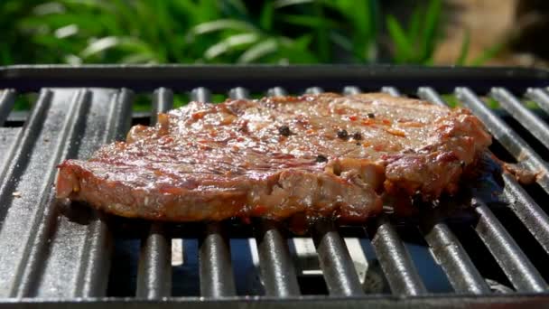 Rook stijgt boven de biefstuk op een hete grill. — Stockvideo