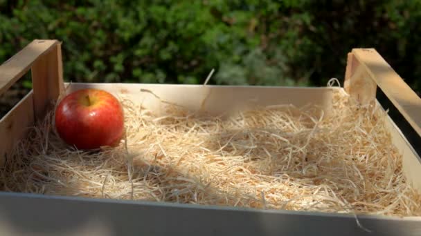 Mano pone una jugosa manzana roja de una caja de madera — Vídeos de Stock