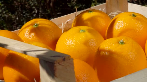 Hand takes ripe juicy orange from a wooden box — Stock Video