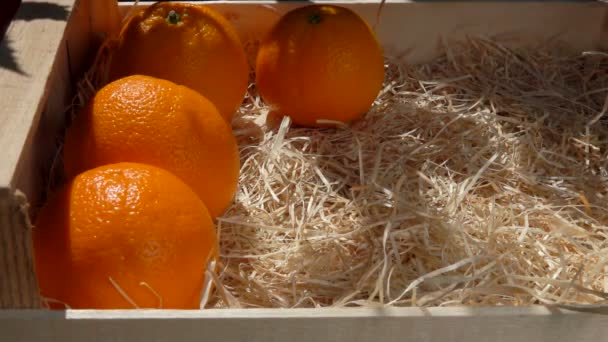 La main met les oranges juteuses mûres dans une boîte en bois — Video