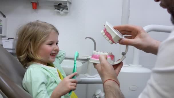 Dentis teaches a girl to brush her teeth properly — Stock Video