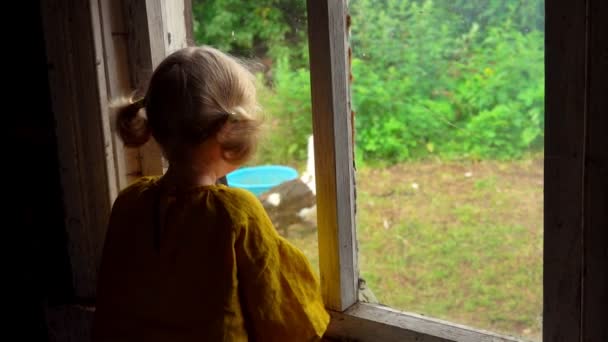 La niña está mirando un pavo desde la ventana. — Vídeos de Stock