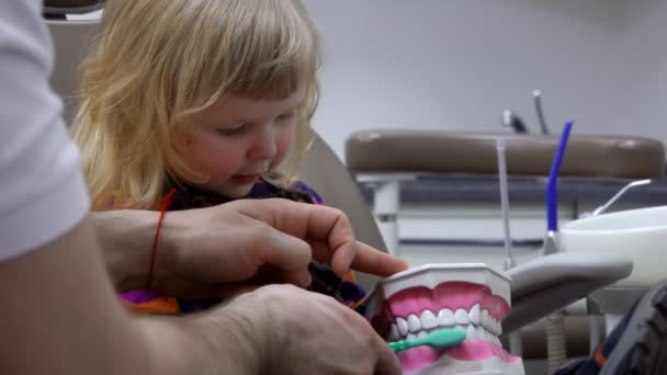 Dentis teaches a girl to brush her teeth properly — Stock Video