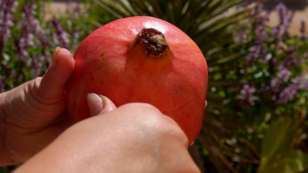 Hände schneiden mit einem Messer einen reifen, saftigen Granatapfel — Stockvideo