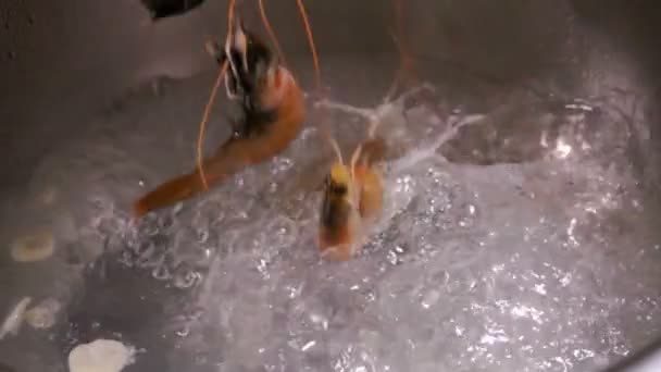 Camarones grandes crudos caen en agua hirviendo — Vídeo de stock