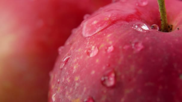 Kapka vody teče po velkém zralém červeném jablku — Stock video