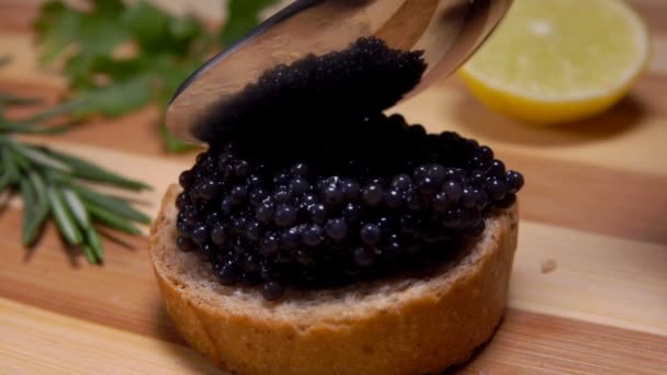 Lepel op drukt zwarte kaviaar op wit brood — Stockvideo