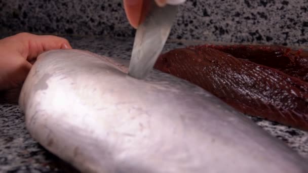 Cook skär längs ryggfenan stor tonfisk — Stockvideo