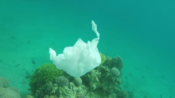 Lixo saco de plástico flutua sobre recifes de coral no mar vermelho — Vídeo de Stock