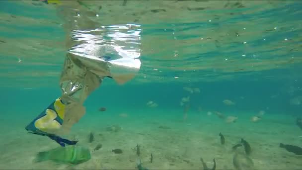 Papperskorgen flyter över korallrev i Röda havet — Stockvideo