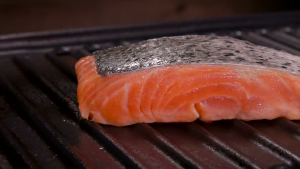 Movimiento panorámico a lo largo de una pieza de salmón — Vídeo de stock
