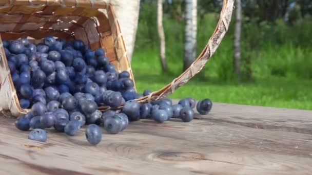 Blueberries get enough sleep from a basket — Stock Video