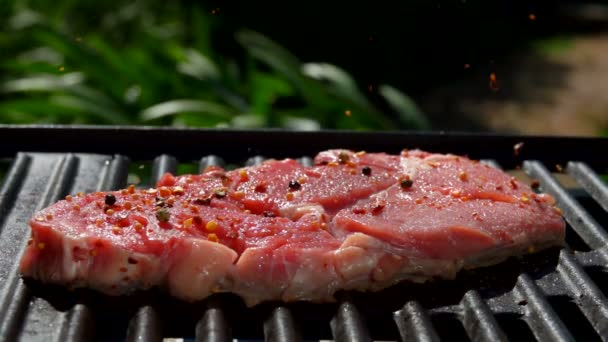 Especiarias caindo em um bife em câmera lenta close-up — Vídeo de Stock