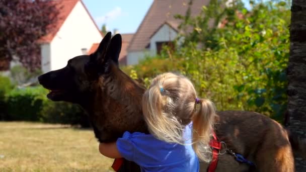 Niña rubia acaricia a un perro pastor belga — Vídeos de Stock
