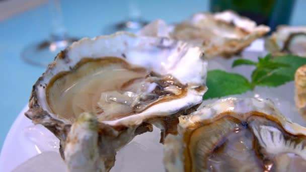 Ostras abiertas en un plato blanco con hielo y limón . — Vídeo de stock