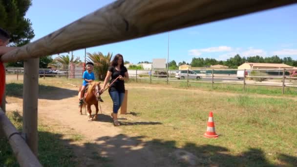 Frau führt ein Pony mit Zaumzeug. Junge reitet auf einem Pony — Stockvideo