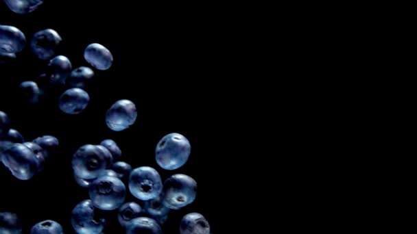 Big blueberry bounces and spins on black background — Stock Video