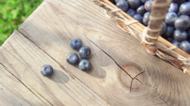 Blueberrie fall på ett träbord — Stockvideo