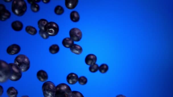 Big Blueberry rebondit et tourne au ralenti — Video