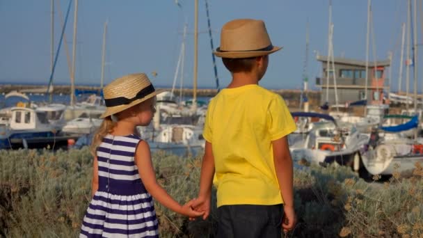 Kleiner Junge und Mädchen schaut in Yachten — Stockvideo