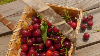 Olgun tatlı Kiraz ahşap bir masaya düşen meyveleri