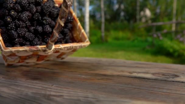 Cesta com amadurecimento blackberry cai sobre uma mesa de madeira — Vídeo de Stock