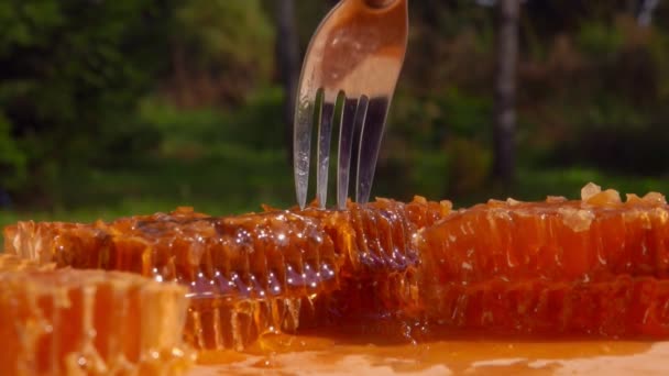Voorvork snijdt een stukje honingraten met Honey — Stockvideo