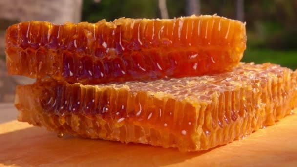 Doces favos de mel cheios de mel estão na tábua de madeira — Vídeo de Stock