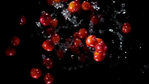 Cherry studsar mot kameran med vatten — Stockvideo