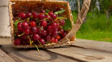 Olgun kiraz sepetle ahşap bir masaya düşüyor