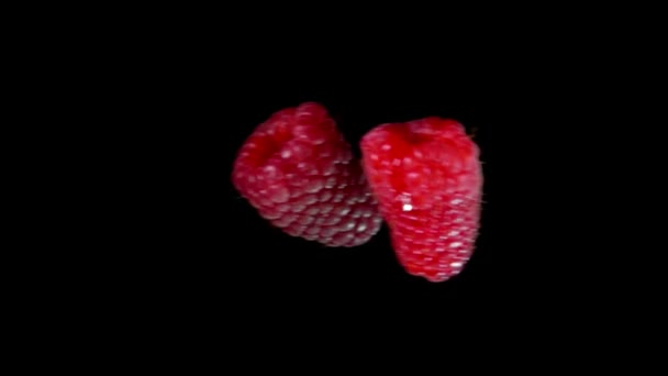 Raspberries fly and bounce in the air with water — Stock Video