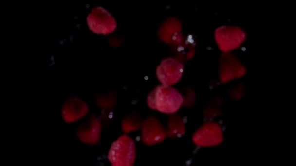 Raspberries with water bouncing on black background — Stock Video